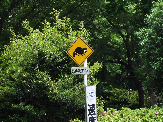 ��򒆉�����